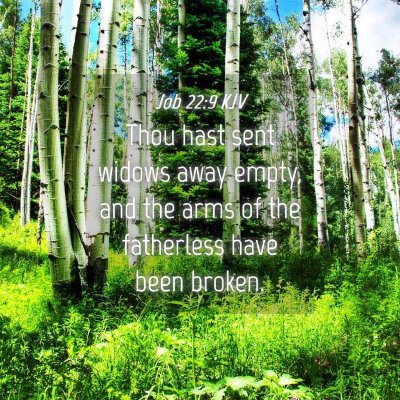 Picture 04 - Job 22:9 KJV - Thou hast sent widows away empty, and the arms of - Bible Verse Picture