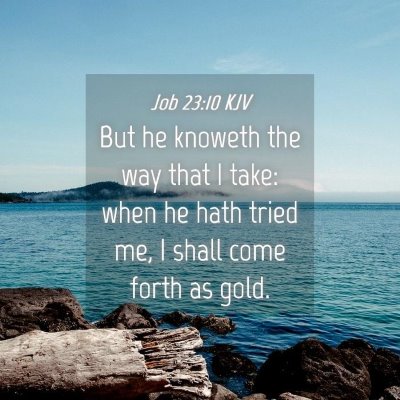 Picture 04 - Job 23:10 KJV - But he knoweth the way that I take: when he hath - Bible Verse Picture