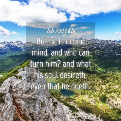 Picture 04 - Job 23:13 KJV - But he is in one mind, and who can turn him? and - Bible Verse Picture