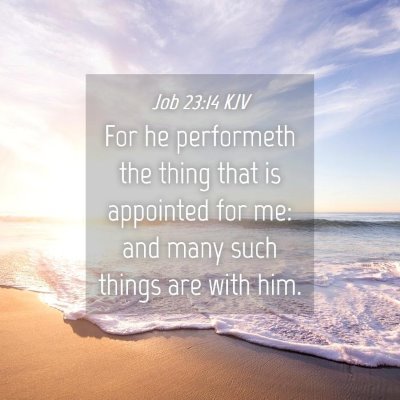 Picture 04 - Job 23:14 KJV - For he performeth the thing that is appointed for - Bible Verse Picture