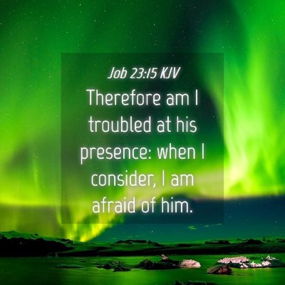 Picture 04 - Job 23:15 KJV - Therefore am I troubled at his presence: when I - Bible Verse Picture