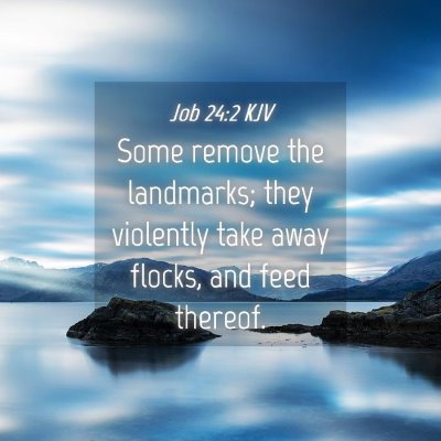 Picture 04 - Job 24:2 KJV - Some remove the landmarks; they violently take - Bible Verse Picture