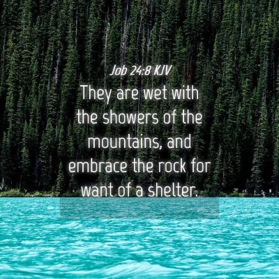 Picture 04 - Job 24:8 KJV - They are wet with the showers of the mountains, - Bible Verse Picture