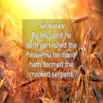 Picture 04 - Job 26:13 KJV - By his spirit he hath garnished the heavens; his - Bible Verse Picture