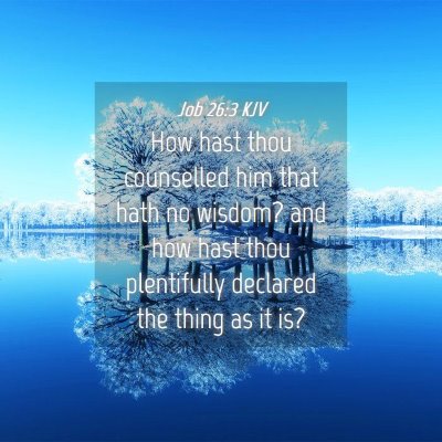 Picture 04 - Job 26:3 KJV - How hast thou counselled him that hath no wisdom? - Bible Verse Picture