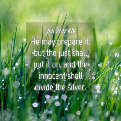 Picture 04 - Job 27:17 KJV - He may prepare it, but the just shall put it on, - Bible Verse Picture