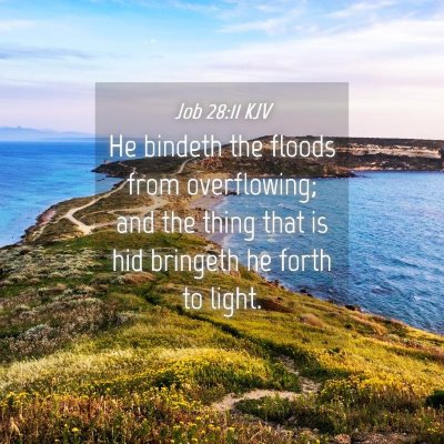 Picture 04 - Job 28:11 KJV - He bindeth the floods from overflowing; and the - Bible Verse Picture
