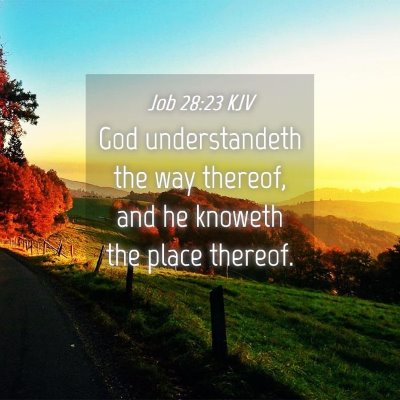 Picture 04 - Job 28:23 KJV - God understandeth the way thereof, and he knoweth - Bible Verse Picture