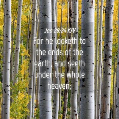 Picture 04 - Job 28:24 KJV - For he looketh to the ends of the earth, and - Bible Verse Picture