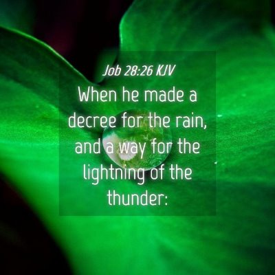 Picture 04 - Job 28:26 KJV - When he made a decree for the rain, and a way for - Bible Verse Picture