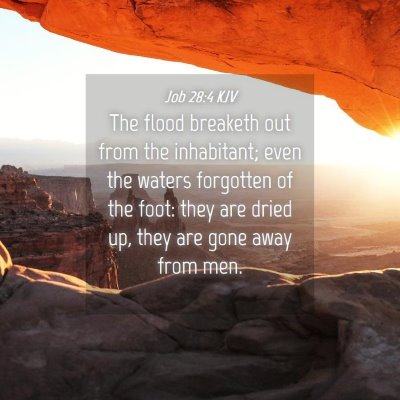 Picture 04 - Job 28:4 KJV - The flood breaketh out from the inhabitant; even - Bible Verse Picture