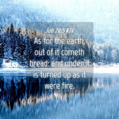 Picture 04 - Job 28:5 KJV - As for the earth, out of it cometh bread: and - Bible Verse Picture