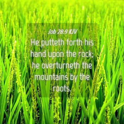 Picture 04 - Job 28:9 KJV - He putteth forth his hand upon the rock; he - Bible Verse Picture