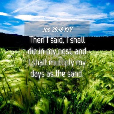 Picture 04 - Job 29:18 KJV - Then I said, I shall die in my nest, and I shall - Bible Verse Picture