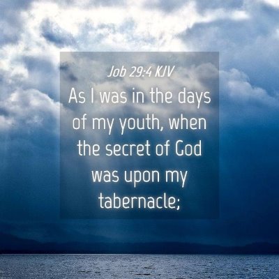 Picture 04 - Job 29:4 KJV - As I was in the days of my youth, when the secret - Bible Verse Picture