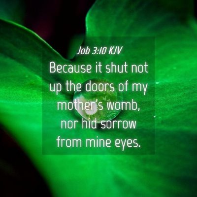 Picture 04 - Job 3:10 KJV - Because it shut not up the doors of my mother's - Bible Verse Picture