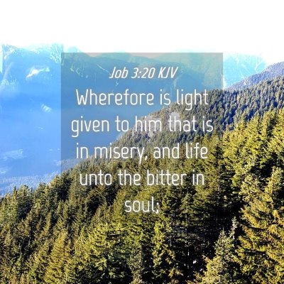 Picture 04 - Job 3:20 KJV - Wherefore is light given to him that is in - Bible Verse Picture