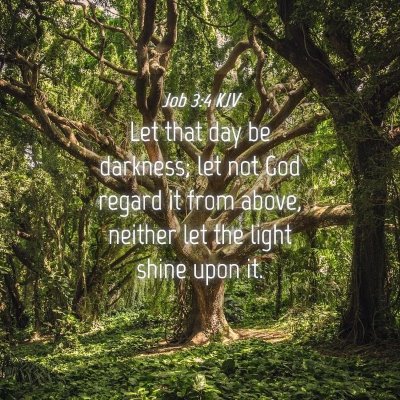 Picture 04 - Job 3:4 KJV - Let that day be darkness; let not God regard it - Bible Verse Picture