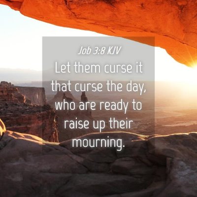 Picture 04 - Job 3:8 KJV - Let them curse it that curse the day, who are - Bible Verse Picture