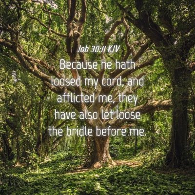 Picture 04 - Job 30:11 KJV - Because he hath loosed my cord, and afflicted me, - Bible Verse Picture