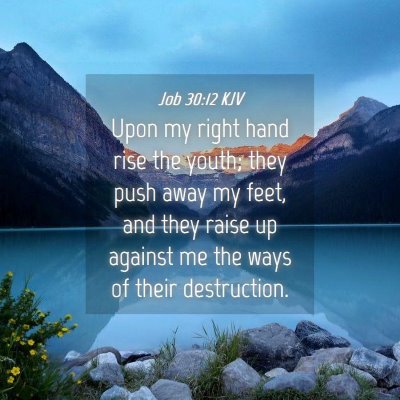 Picture 04 - Job 30:12 KJV - Upon my right hand rise the youth; they push away - Bible Verse Picture