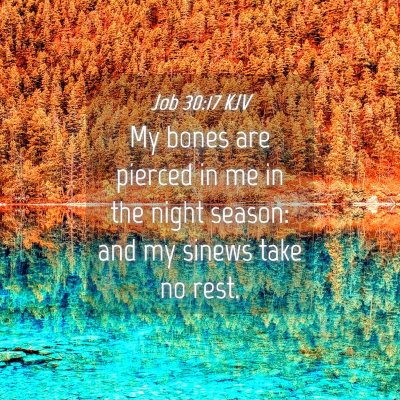 Picture 04 - Job 30:17 KJV - My bones are pierced in me in the night season: - Bible Verse Picture