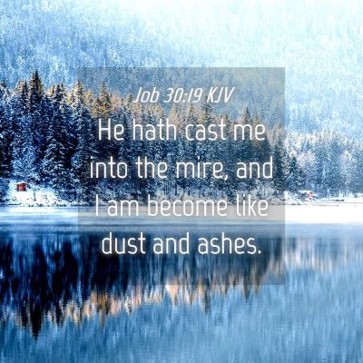 Picture 04 - Job 30:19 KJV - He hath cast me into the mire, and I am become - Bible Verse Picture