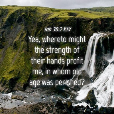 Picture 04 - Job 30:2 KJV - Yea, whereto might the strength of their hands - Bible Verse Picture