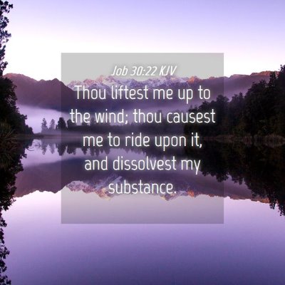 Picture 04 - Job 30:22 KJV - Thou liftest me up to the wind; thou causest me - Bible Verse Picture