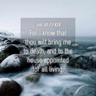 Picture 04 - Job 30:23 KJV - For I know that thou wilt bring me to death, and - Bible Verse Picture