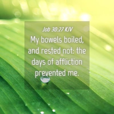 Picture 04 - Job 30:27 KJV - My bowels boiled, and rested not: the days of - Bible Verse Picture