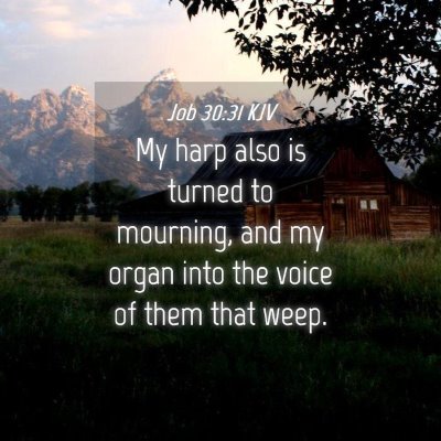 Picture 04 - Job 30:31 KJV - My harp also is turned to mourning, and my organ - Bible Verse Picture