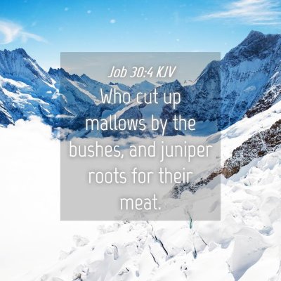 Picture 04 - Job 30:4 KJV - Who cut up mallows by the bushes, and juniper - Bible Verse Picture