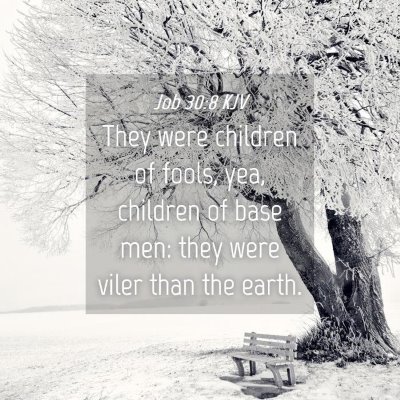 Picture 04 - Job 30:8 KJV - They were children of fools, yea, children of - Bible Verse Picture