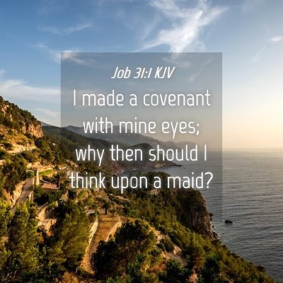 Picture 04 - Job 31:1 KJV - I made a covenant with mine eyes; why then should - Bible Verse Picture