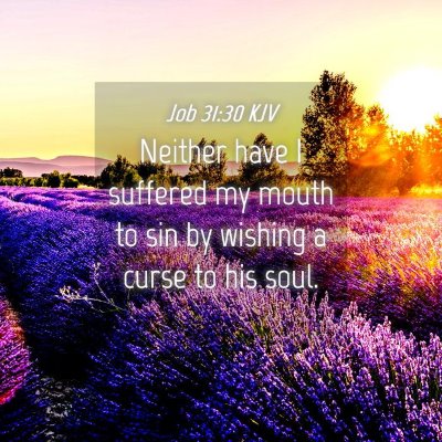 Picture 04 - Job 31:30 KJV - Neither have I suffered my mouth to sin by - Bible Verse Picture