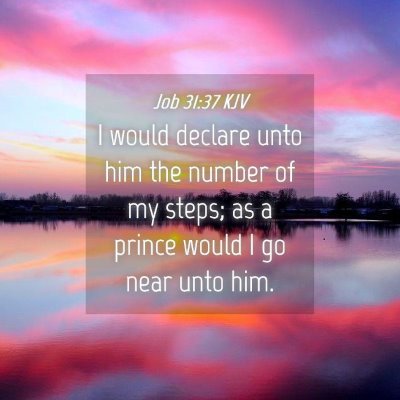Picture 04 - Job 31:37 KJV - I would declare unto him the number of my steps; - Bible Verse Picture