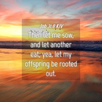 Picture 04 - Job 31:8 KJV - Then let me sow, and let another eat; yea, let my - Bible Verse Picture