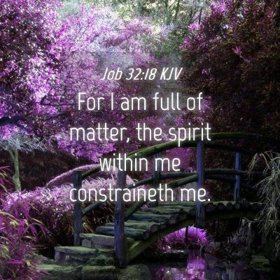 Picture 04 - Job 32:18 KJV - For I am full of matter, the spirit within me - Bible Verse Picture