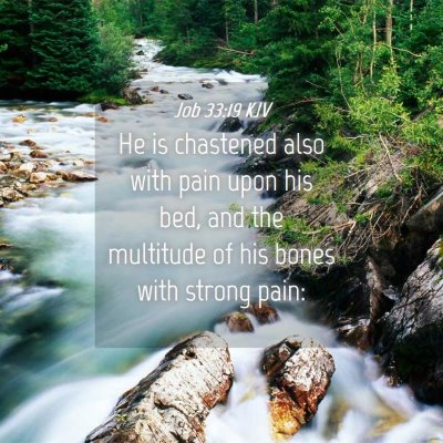 Picture 04 - Job 33:19 KJV - He is chastened also with pain upon his bed, and - Bible Verse Picture