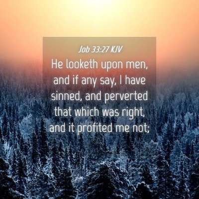Picture 04 - Job 33:27 KJV - He looketh upon men, and if any say, I have - Bible Verse Picture