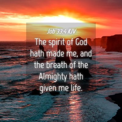 Picture 04 - Job 33:4 KJV - The spirit of God hath made me, and the breath of - Bible Verse Picture