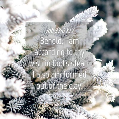 Picture 04 - Job 33:6 KJV - Behold, I am according to thy wish in God's - Bible Verse Picture