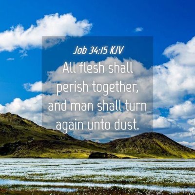 Picture 04 - Job 34:15 KJV - All flesh shall perish together, and man shall - Bible Verse Picture
