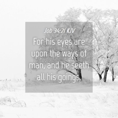 Picture 04 - Job 34:21 KJV - For his eyes are upon the ways of man, and he - Bible Verse Picture