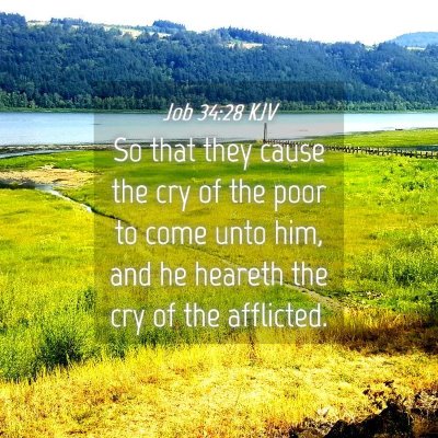 Picture 04 - Job 34:28 KJV - So that they cause the cry of the poor to come - Bible Verse Picture