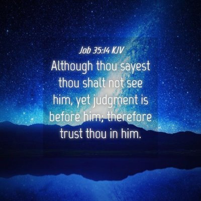 Picture 04 - Job 35:14 KJV - Although thou sayest thou shalt not see him, yet - Bible Verse Picture