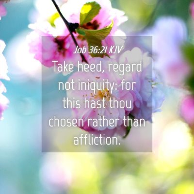 Picture 04 - Job 36:21 KJV - Take heed, regard not iniquity: for this hast - Bible Verse Picture