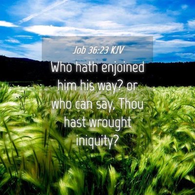 Picture 04 - Job 36:23 KJV - Who hath enjoined him his way? or who can say, - Bible Verse Picture