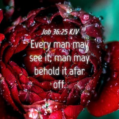 Picture 04 - Job 36:25 KJV - Every man may see it; man may behold it afar - Bible Verse Picture